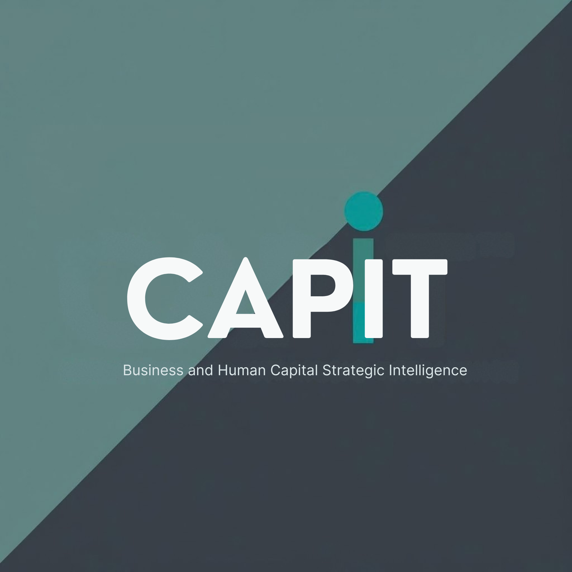 CAPIT logo